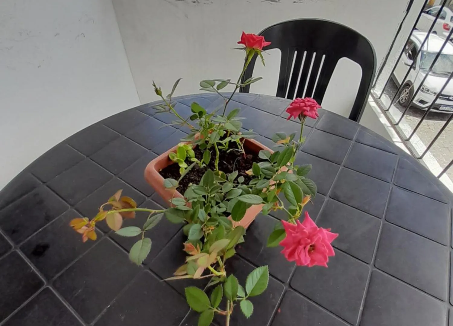 Casa de hóspedes Suite Nata Hospeda Porto Seguro